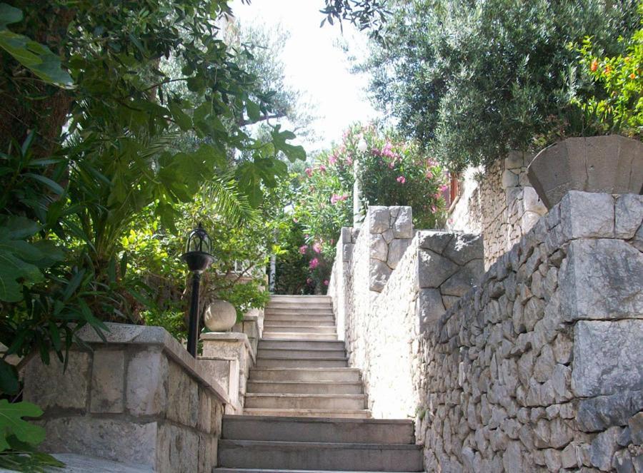 סלאנו Vila Luka מראה חיצוני תמונה